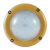 FSL佛山照明FBD0109 100W 6500K白光 220V Exd IIC T6 Gb/Ex tD A21 IP66 T80℃LED防爆灯(计价单位：盏)黄色