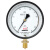 红旗（HONGQi）YB-150精密压力表 径向精度0.4级0-6mpa气压表水压表液压燃气表	