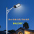 LED路灯头220V新农村挑臂道路灯户外小区庭院家用公路交通照明灯 60W白光+1米弯杆