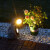 时宴太阳能庭院灯户外花园布置仿真石头小院子装饰射灯草坪景观防 石头双色灯(八只装)