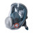 一护 KN95呼吸防护套装 双滤盒防毒全面罩9201型 面罩主体1个