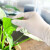 塞莫诗SI&MOOS一次性乳胶手套防水清洁卫生实验室保洁工业劳保橡胶手套100只 L902MW耐用型 大号L