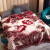 辰枫家纺 拉舍尔毛毯单人双人保暖盖毯秋冬季礼品毯子床上用品 45豆沙 200*230cm 9斤