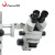 凤凰（Phenix）三目体视显微镜 万向支架三目专业工业电子 手术练习 手机维修工业检测 XTL-165-WX 600948