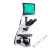 科技光学生物显微镜大屏LED双目广角可调高清细胞实验室 LC-BMS-100T+200W蓝色摄像头