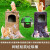 户外卡通创意垃圾桶雕塑公园景区幼儿园玻璃钢动物松鼠果皮箱分类 松鼠树桩环保垃圾桶款2