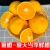 金研果夏橙湖北秭归橙品质橙子当季新鲜清甜大果榨汁一整箱脐橙水果 5斤大果【75-80mm】带箱