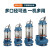 新蓝 应急泵  WQD10-11-0.75 220V