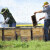 蜂衣防护服防土蜂防蜂衣全套透气加厚养蜂衣半身防蜂服蜂帽取蜂蜜 蜂蜜的帽子