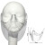 曌月新透明口罩款隐形塑料透明口罩同款防飞沫防护罩PVC口鼻罩香港TVB 透明长款5只装无彩盒