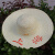 朋安 夏季农用草帽 防晒帽遮阳帽 田园风大沿草编帽  漂白上海46-47厘米1顶 