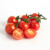 【顺丰】枝纯串收小番茄 糖果番茄 温室现摘生吃西红柿脆甜圣女果健康轻食 198g*10盒