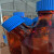 驻季棕色螺口流动相液瓶二口三口四口储液瓶色谱溶剂瓶蓝盖丝试剂瓶 三口1000ml
