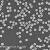 单分散聚苯乙烯磁性微球ps微米/纳米磁珠羧基化生物磁珠偶联 15微米 2.5% 10毫升25mg/ml