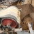 光冠 皮带机清扫器聚氨酯刮板刮刀胶带机刮砂器刀头输机刮料器刮泥板定制定制 H型-道650