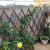 户外防腐伸缩实木栅栏碳化阳台围栏花园墙壁挂装饰爬藤架白色网格 碳化H65(厚0.7cm) 大