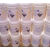 美国清力阻垢剂PTP-0100标准液  进口 反渗透ro膜阻垢剂ptp0100