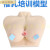 催乳师教具 女性乳房模型 硅胶乳房模型 催乳师培训用假乳房 双侧乳房25*19*7CM