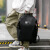 袋鼠新款男士休闲双肩包时尚户外旅行背包初高中生学生书包 858#单肩款黑色