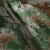 者也（ZYE）反光雨衣套装分体式 雨衣雨裤防水雨衣男女高速路政道路公路巡逻 007式草绿色/2XL码