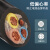京昂 国标3芯4芯5芯YCW橡胶电缆吊机专用护套线户外防水防冻电源线 无氧铜3*10平方 1米价