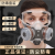 DYQT防毒口罩防尘全面罩面具喷漆面罩活性炭化工防护工业粉尘放毒氧气 双倍过滤防毒面具（送2包活