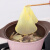 HAGCZATNG  日本进口家用厨房煲汤吸油纸食用吸油膜炖汤用去油食物滤油纸 (3包)