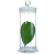 玻璃标本瓶加厚标本缸植物样品瓶展示瓶病理瓶福尔马林液浸泡瓶 米白色 45*210mm