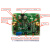AGC模块 AD603 自动增益控制 手动程控调节输出幅值 带宽10M定制
