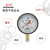 红旗牌仪表YTN-100/YN-100抗震压力表耐震压力表充油压力表真空表 0~0.1MPa