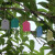 安赛瑞 PVC吊牌（1000张）彩色标签吊签牌花卉园艺塑料小挂牌防水标签园艺 黄色 7×5cm 530342