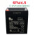 万利达音响电池12V4.5Ah6FM4.5原装Y6电瓶M+9017AB拉杆音箱M+9001 天能高品质12v4.5ah+普通充电器 送免焊线