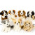 Disney豹子狗狗公仔毛绒玩具狮子松鼠老虎鹦鹉金毛模型 黑色可卡 坐高18厘米左右