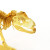 属拼简装DIY拼装模型3D立体金属拼图侏罗纪恐龙 霸王龙剑龙翼龙三角龙 霸王龙骨架（金色）