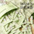十月结晶（TEN-MJOURNEY）十月结晶婴儿奶瓶果蔬清洁剂宝宝餐具植物清洗液条装便携装旅行装 5袋装(5ml*100条)