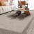 大江 客厅地毯轻奢高级感好打理大面积现代简约床边毯卧室地毯 梅森-深摩卡 200x140cm