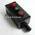 承琉防爆防腐主令控制器ZXF8030-B2D1防爆防腐控制按钮指示灯开关盒 绿色 指示灯 AC220V