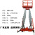 移动式双柱铝合金升降机平台小型电动液压单双三四桅柱高空作业车 双柱升8米载重200kg