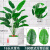 双盟18头仿真天堂鸟盆栽人造绿植假花室内假植物装饰塑料花卉欧式方形