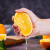 栗品优四川橙子 新鲜当季水果果冻橙产地直发皮薄多汁 5斤中果