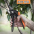 科麦斯德国家用修剪树枝剪刀园林果树剪刀专用强力园艺大剪子 8寸园林剪+赠品