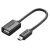 绿联 US249 OTG数据线 Mini USB转接头线 T型口转接口连接线 黑10383 2条装