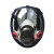普达 防毒面具 MJ-4008全面罩配P-B-1（1号）滤毒盒七件套 尘毒两用口罩 印刷制药加工
