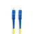 sc-sc光纤跳线1m 2/5/10/3米lc单模fc尾纤跳纤大方头光纤线电信级 LCLC小方转小方 2m