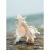 萌依儿（Mengyier）大号海螺摆件 千手菊花螺天然贝壳海螺家居地台鱼缸造景水族箱的 小破损千手螺15-17-厘-米