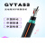 GYTA53-4B1.3防鼠重铠光纤8/12/24/36/48/72/96/144芯直地埋光缆 GYTA53-48B1.3
