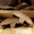 永富香菇 无根鲜香东北产煲汤食材冬菇 150g 有机香菇