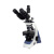 彼爱姆 BM-57XC 偏光显微镜 1 BM-57XC 