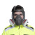 绿健 防毒面具防尘面罩全面具球型全面罩过滤式呼吸防护自吸式颗粒物工业粉尘