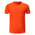 中神盾 定制 SWS-CDS-RT1702 短袖棉质圆领T恤打底衫 女款 橙色（女款） 170